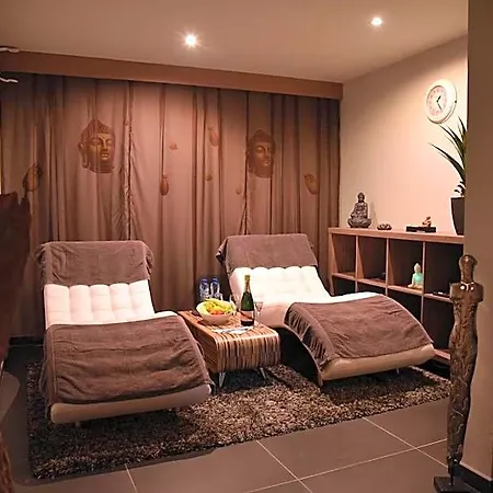 圣丹尼尔酒店 3* Péruwelz